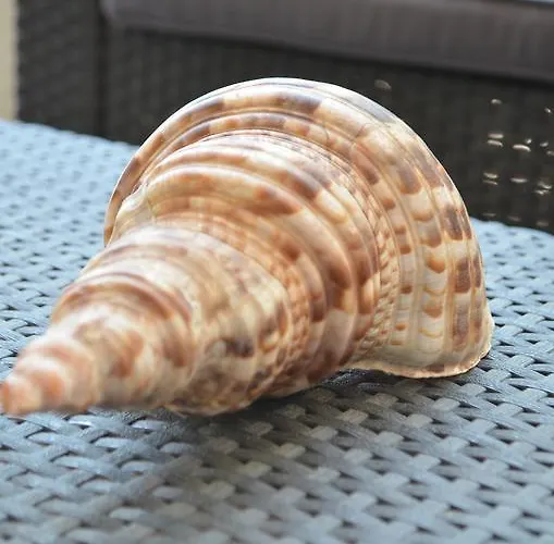 Aparthotel Ammos Beach Glifa (Stylida)